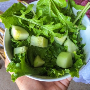 The first homegrown salad!
